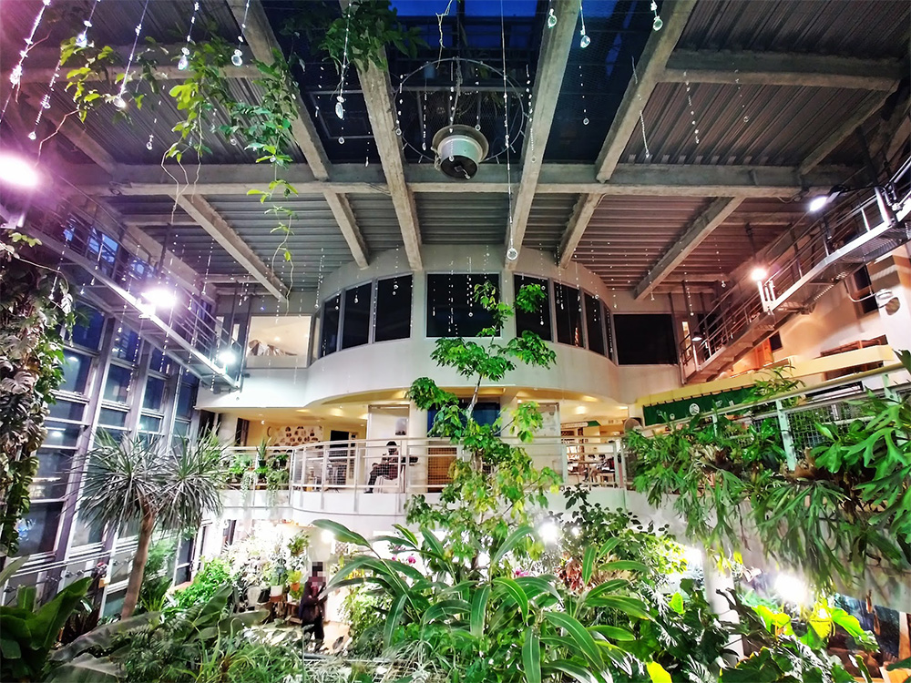 まるで方舟 渋谷区ふれあい植物センター が長期休園へ 植物園としては年内で最後に