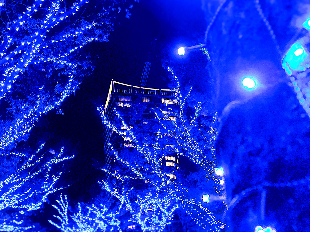 青の洞窟 SHIBUYA2023の光越しに見る渋谷スクランブルスクエア