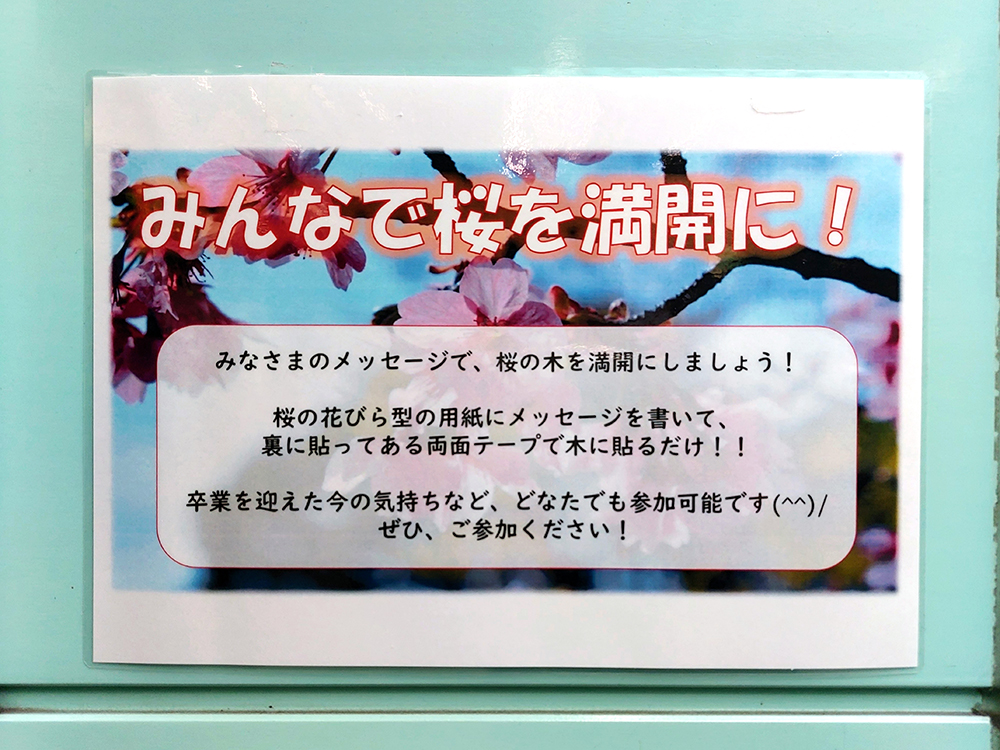 久我山駅構内の感動企画、2024年の久我山桜の説明POP